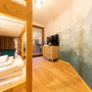 Apartement Gentianes Pure Morzine 5